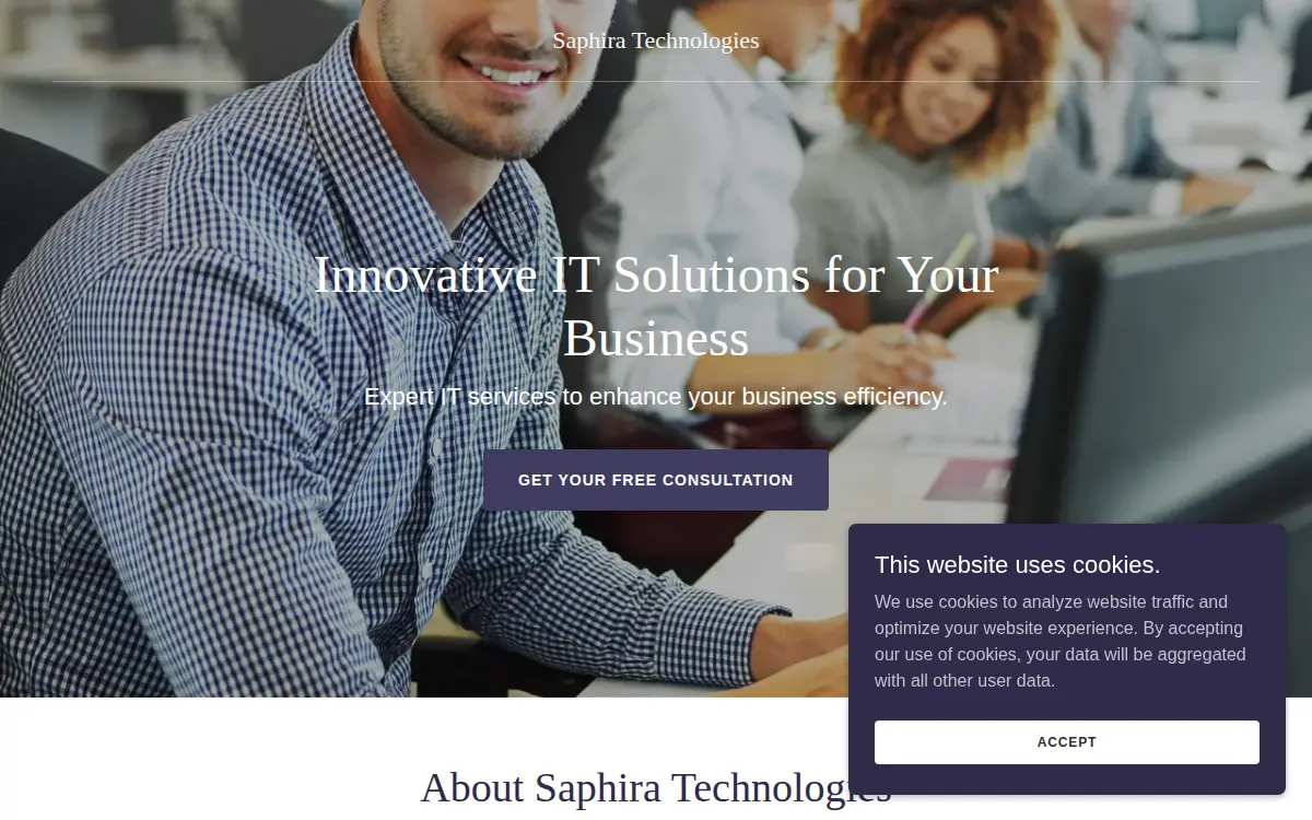 Homepage of Saphira Technologies INC