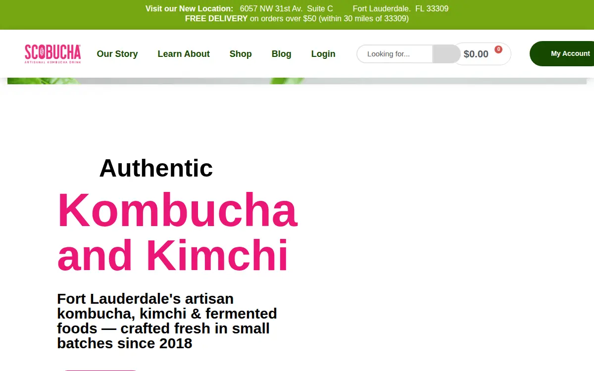Homepage of Zesty Fusion LLC