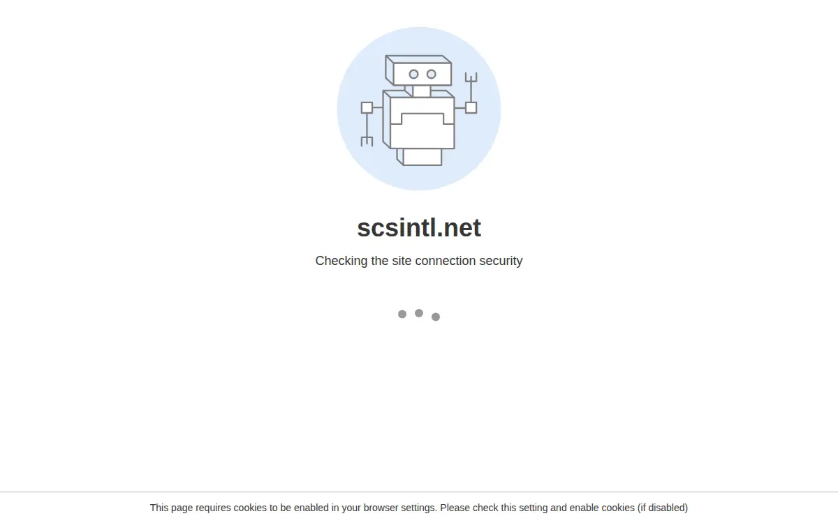 Homepage of Shipping Container Safety International INC