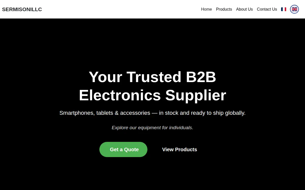 Homepage of Sermisoni LLC