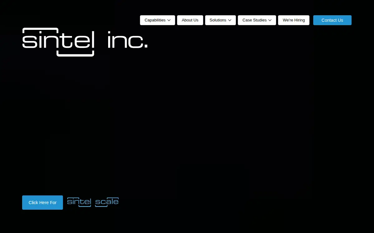 Homepage of Sintel INC