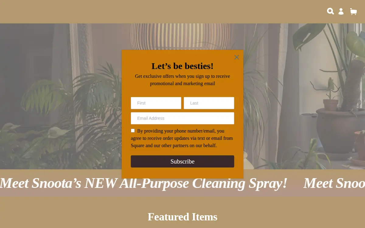 Homepage of The Snoota Brand LLC