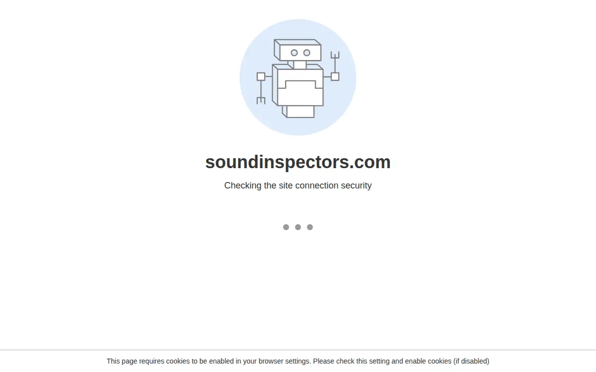 Homepage of Sound Inspectors LLC
