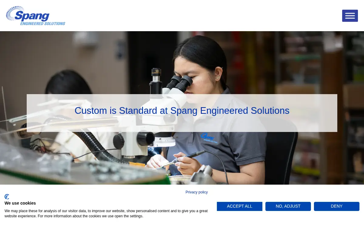 Homepage of Spang & Company