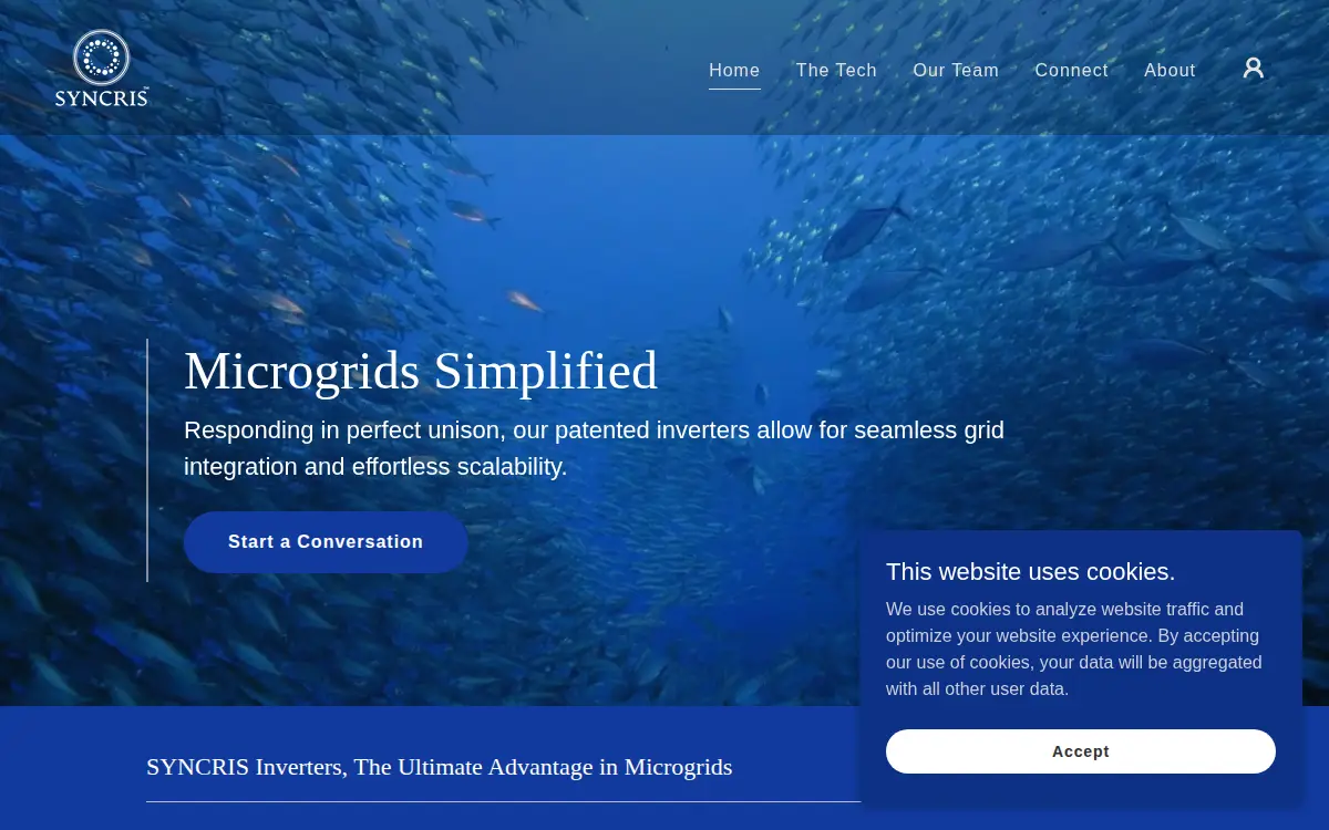 Homepage of Renew Power Systems INC