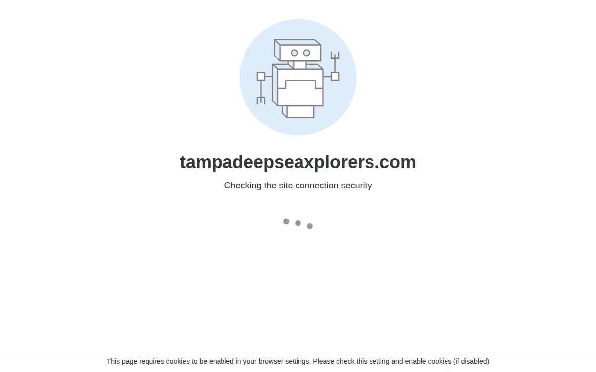 Homepage of Tampa Deep Sea Xplorers, INC.
