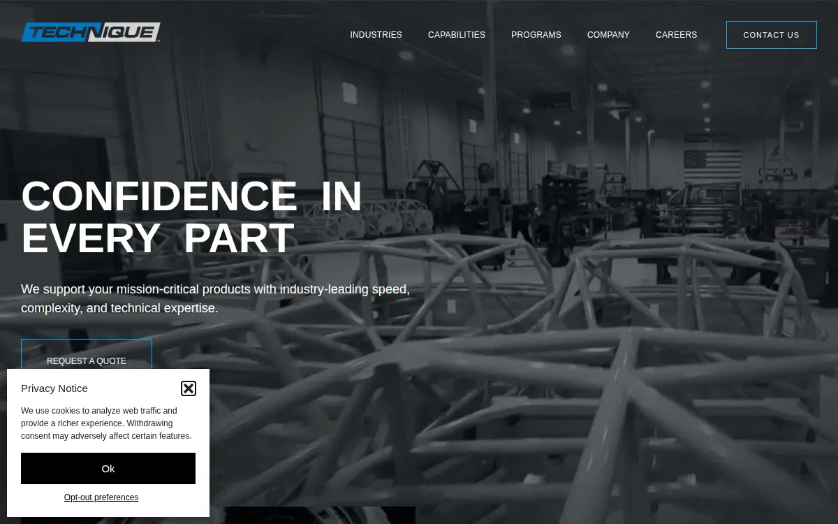 Homepage of Technique, LLC