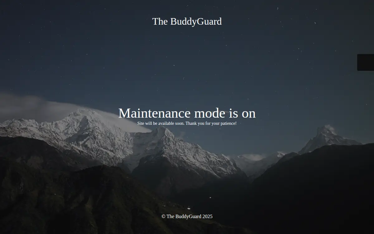 Homepage of The Buddyguard LLC