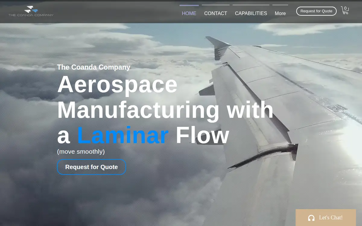 Homepage of Coanda Company Llc, the