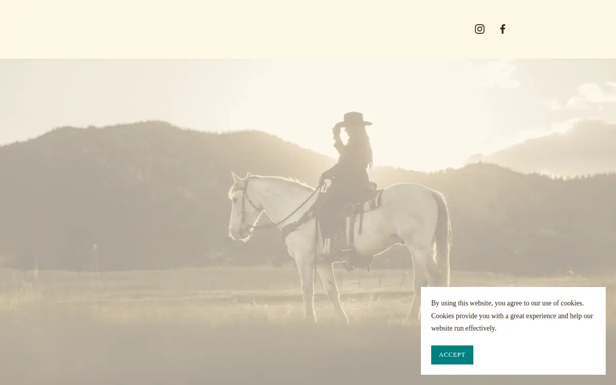 Homepage of Tri Industries Limited Liability Company