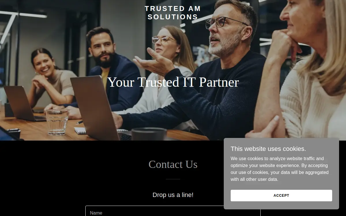 Homepage of Trusted Am Solutions LLC