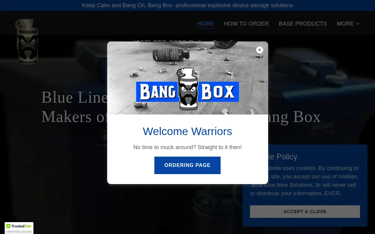 Homepage of Blue Line New Solutions LLC