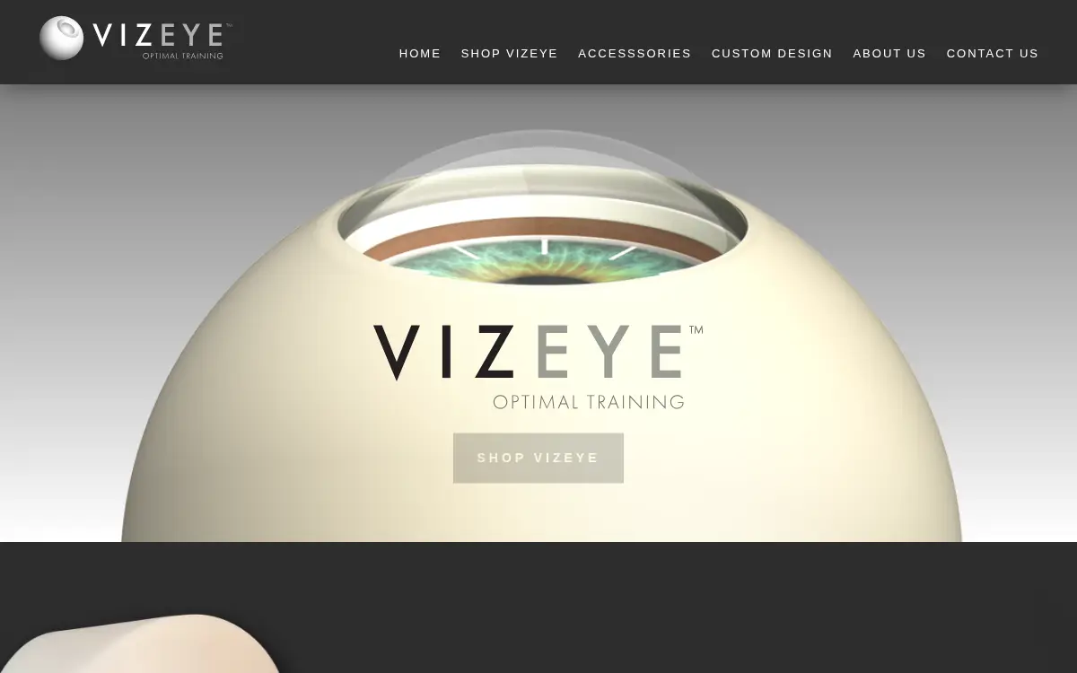 Homepage of Vizeye LLC