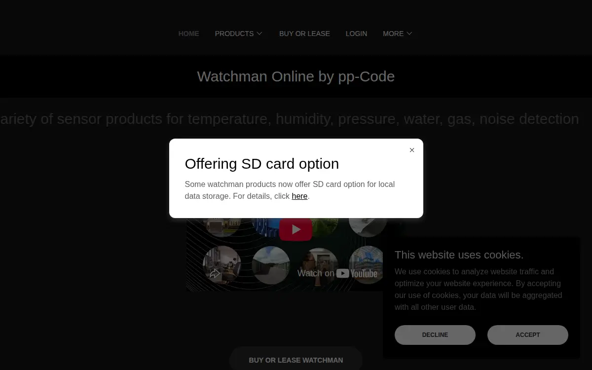 Homepage of Watchman Online LLC