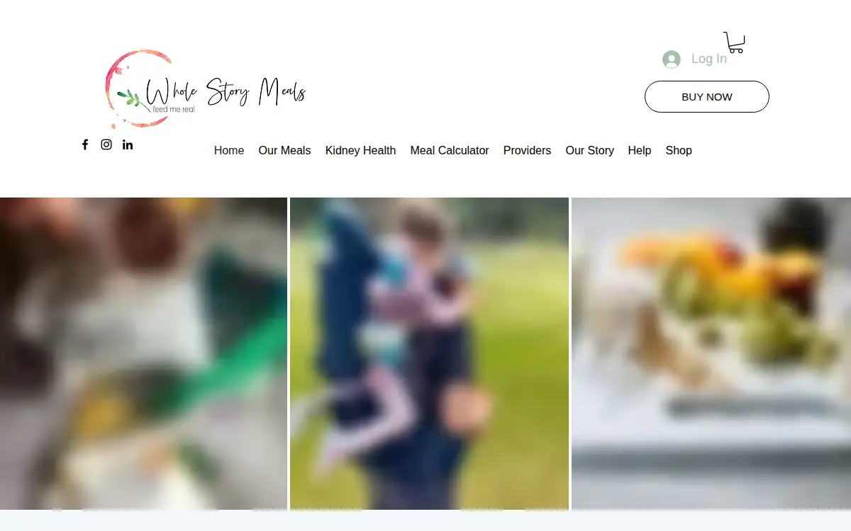 Homepage of Whole Story Meals, INC.