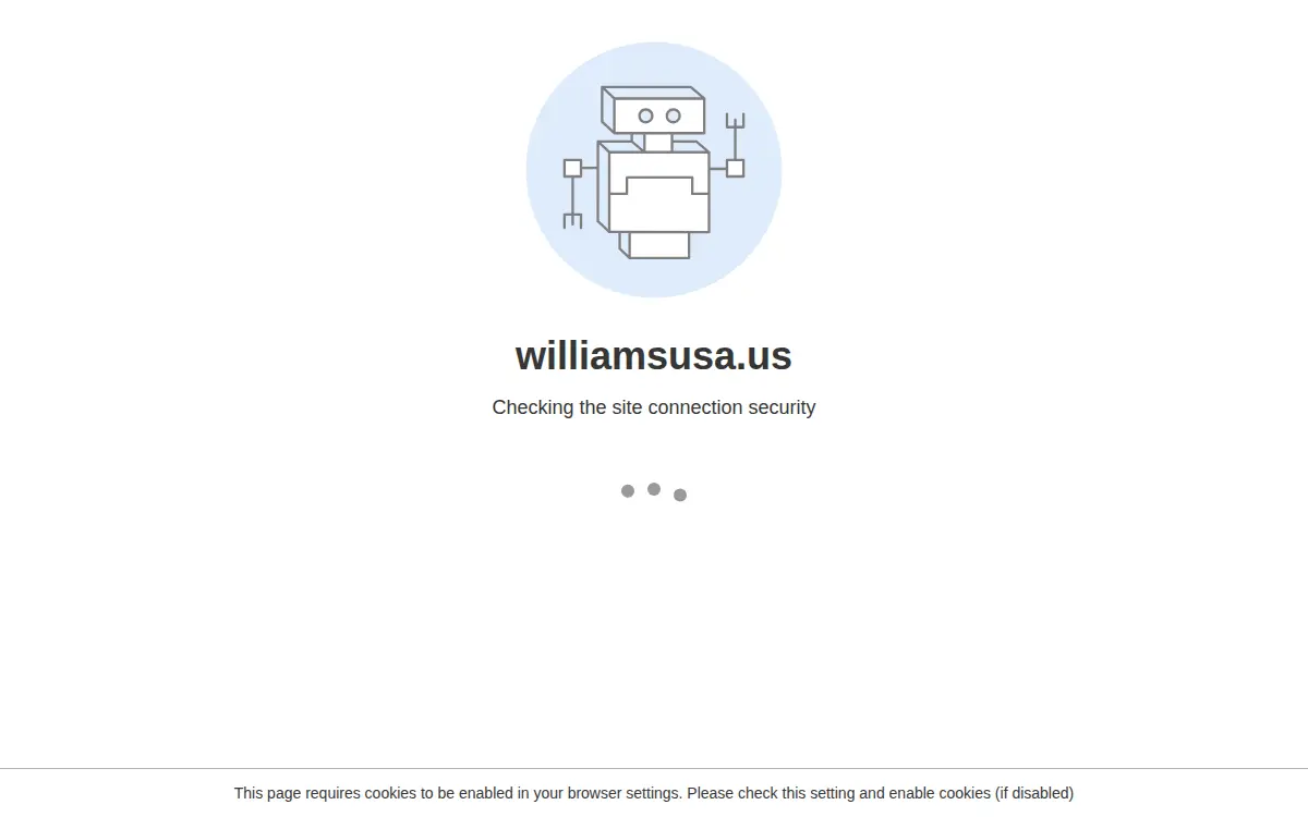 Homepage of Williams Usa, LLC