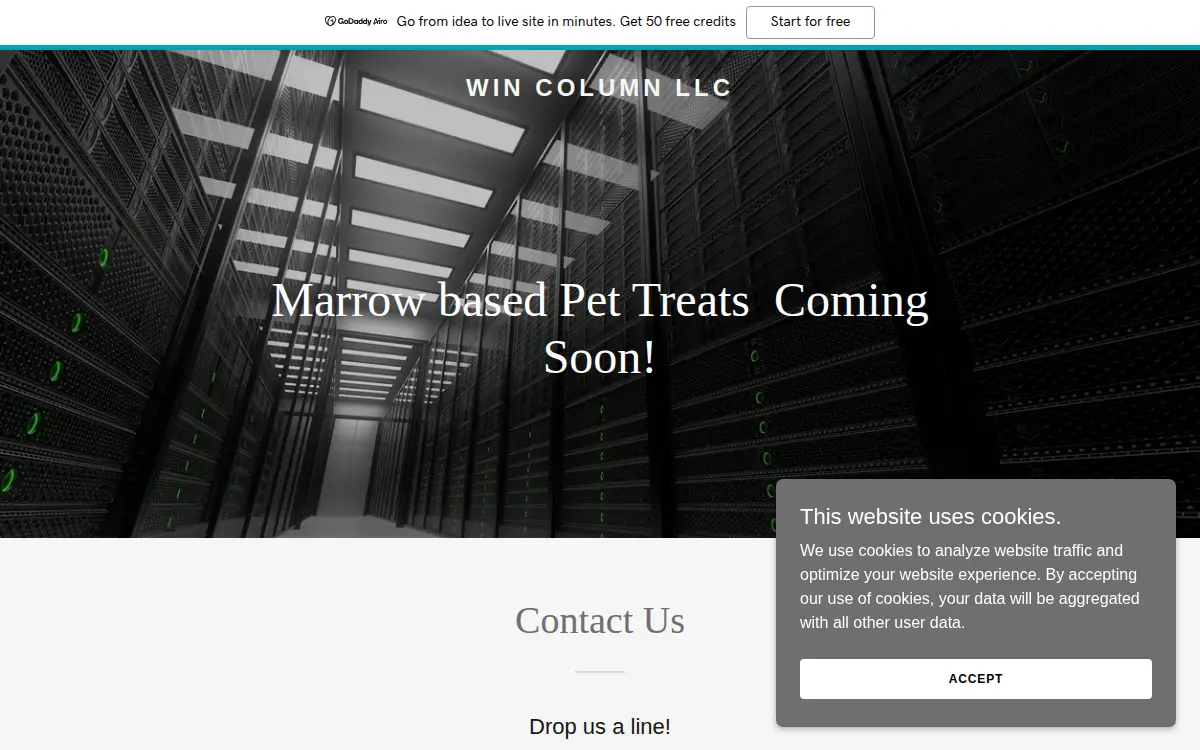 Homepage of Win Column LLC
