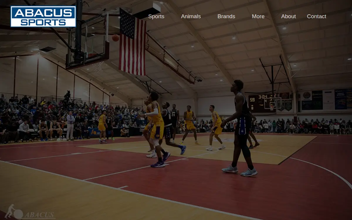 Homepage of Abacus Sports Installations, LTD.
