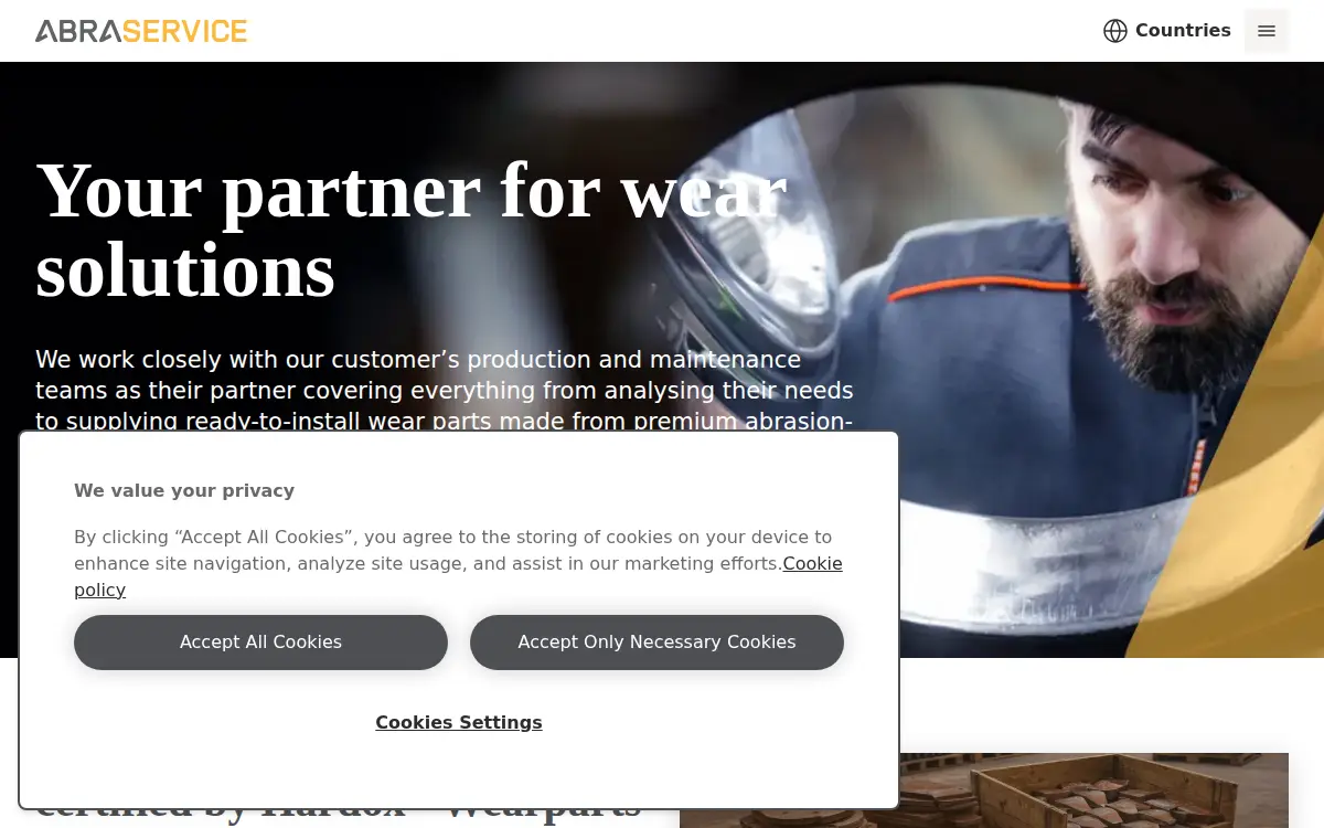 Homepage of Abraservice LLC