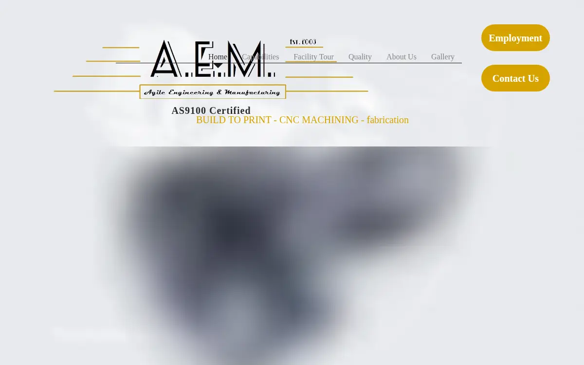 Homepage of Agile Engineering & Manufacturing LLC