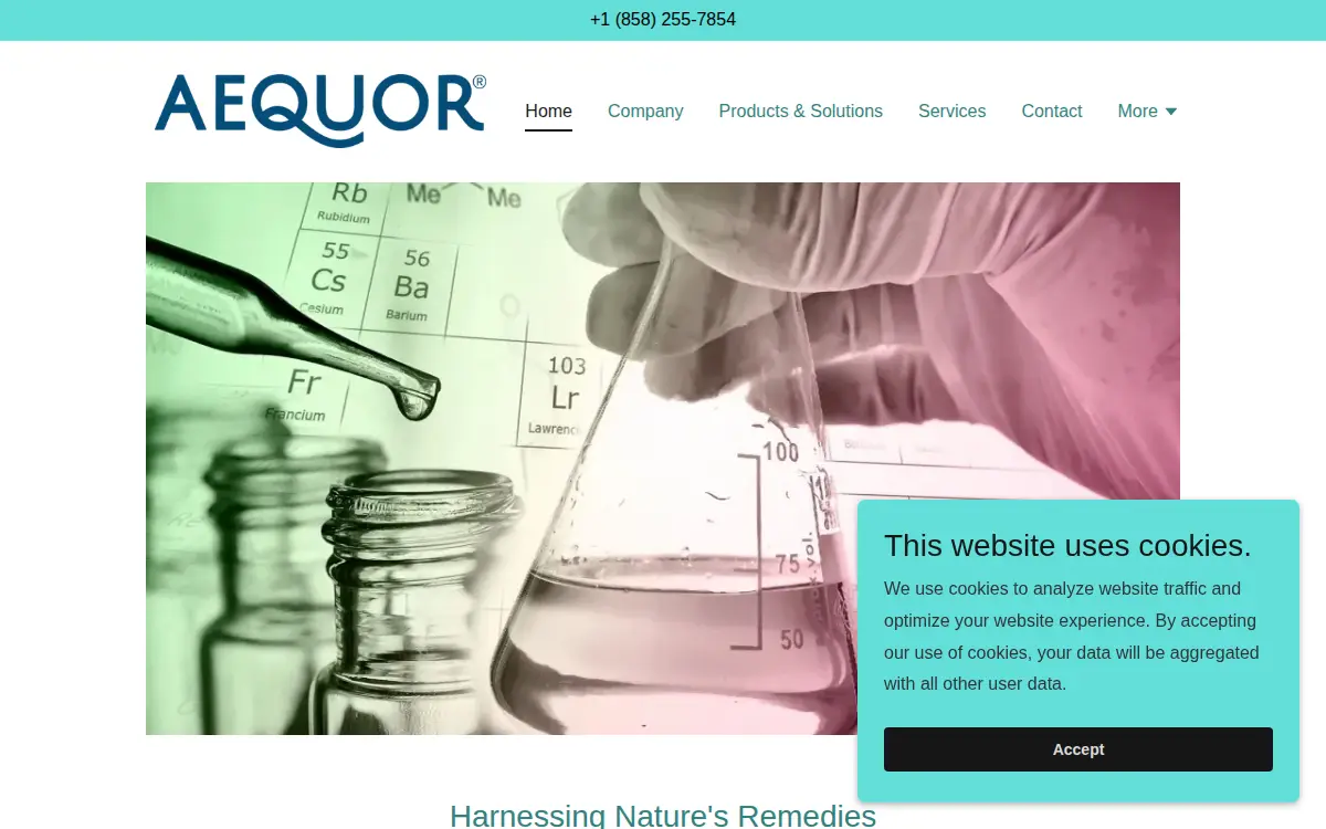 Homepage of Aequor INC.