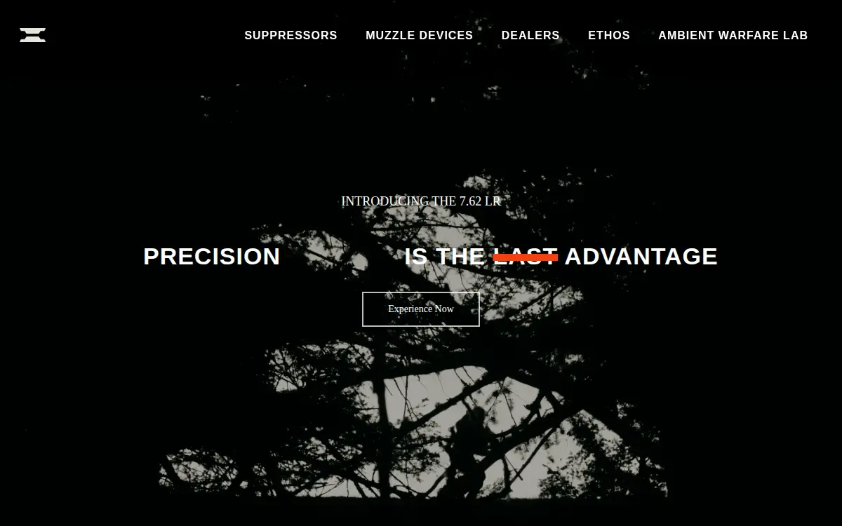 Homepage of Ambient Arms, INC