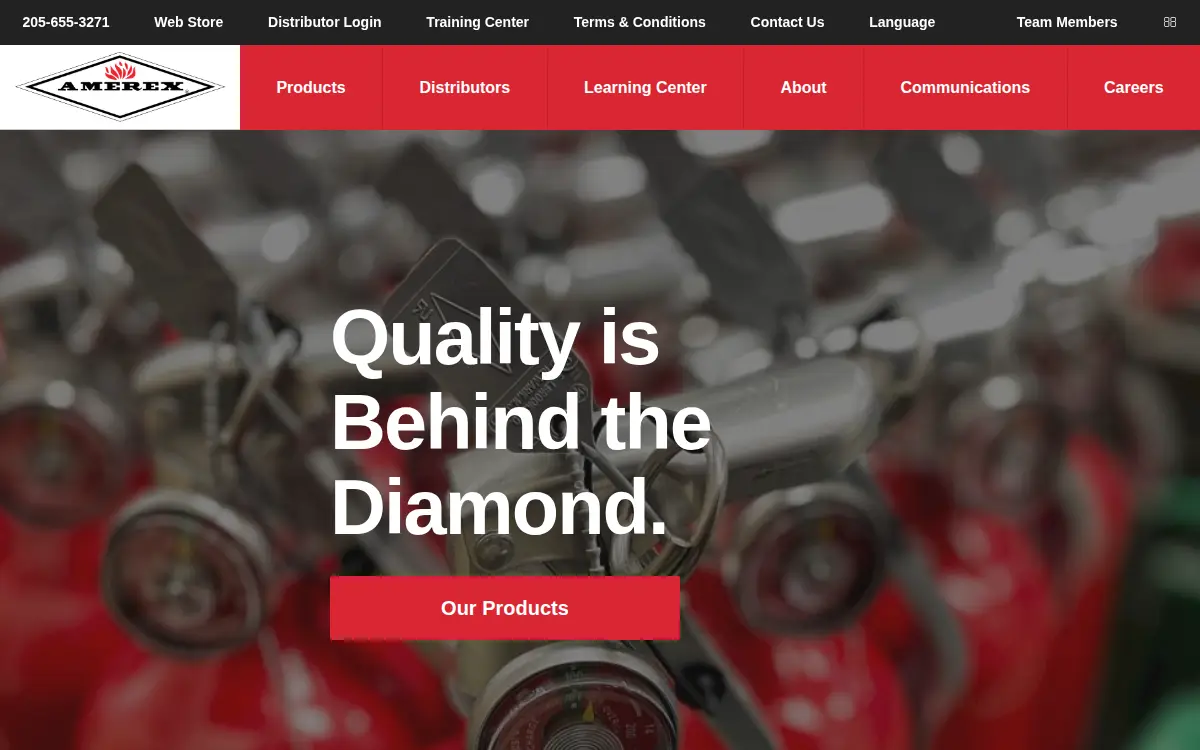 Homepage of Amerex Corporation