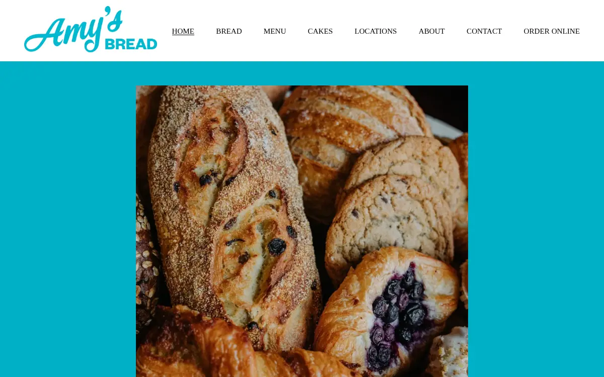 Homepage of Amy Scherber INC