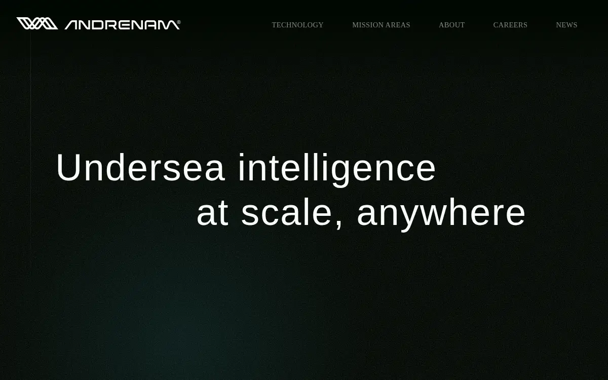 Homepage of Andrenam INC