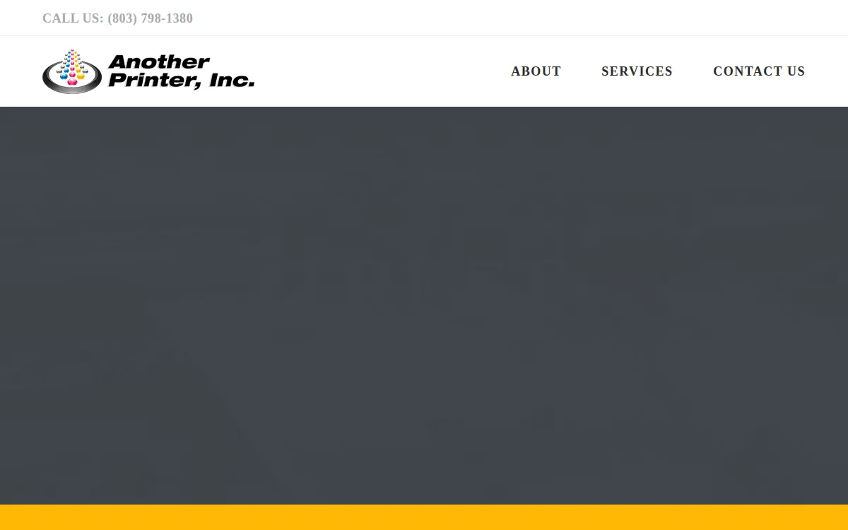 Homepage of Another Printer INC