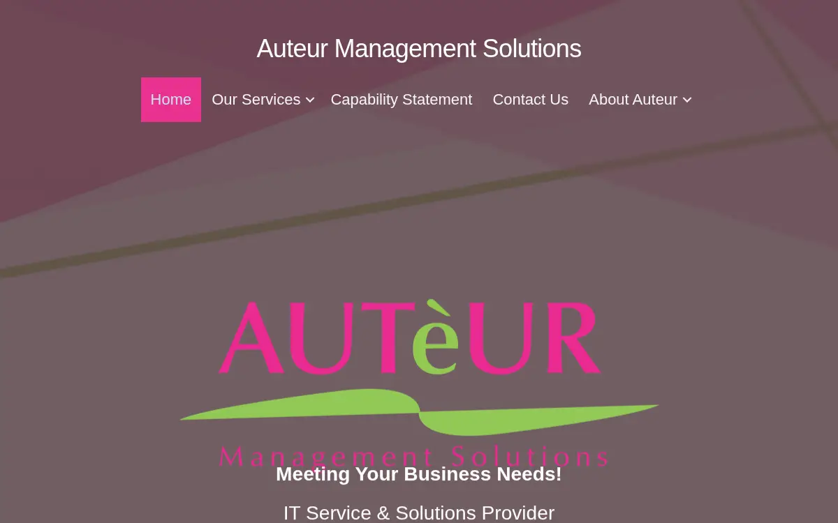 Homepage of Auteur Management Solutions LLC