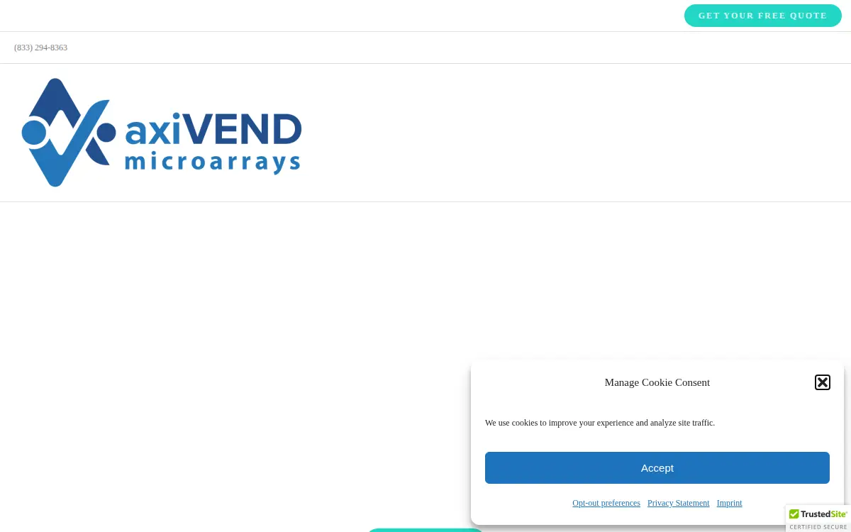 Homepage of Axivend LLC