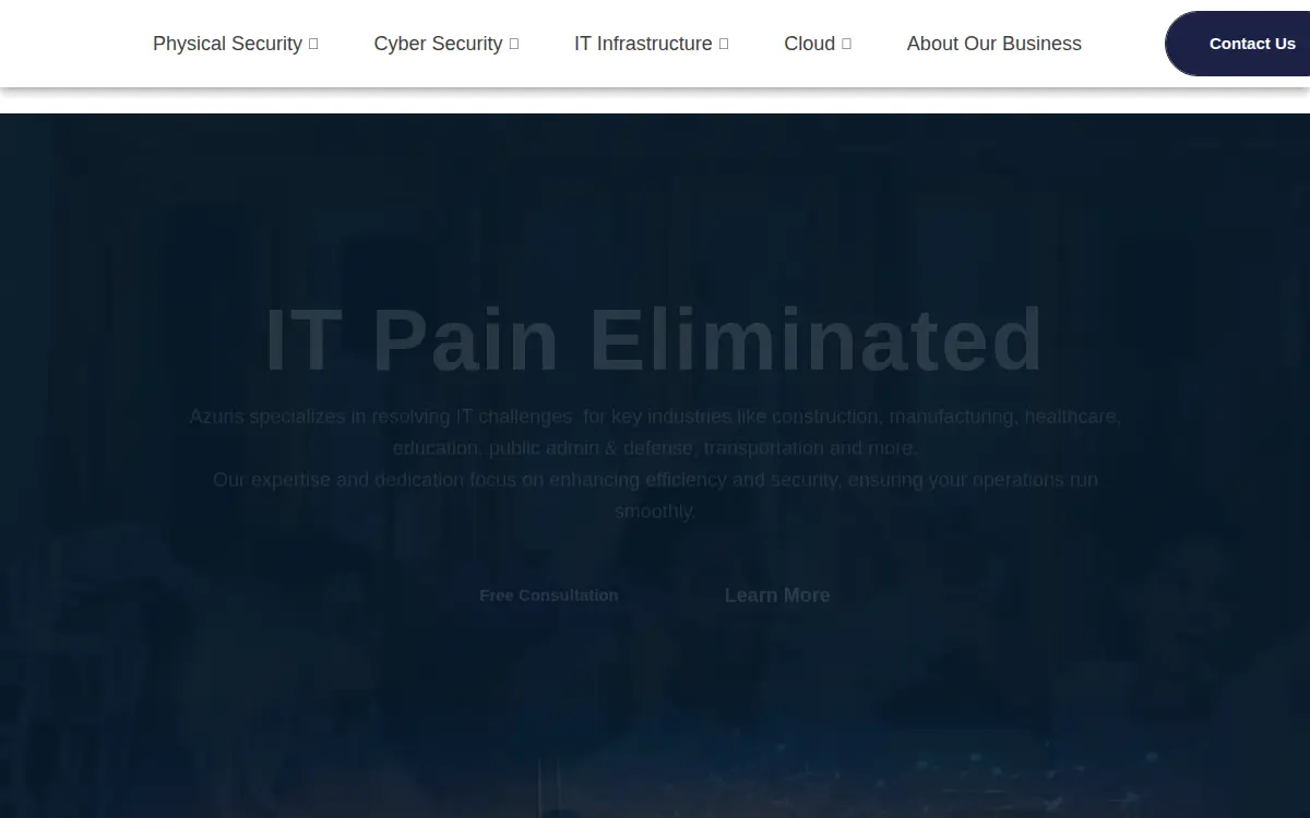 Homepage of Azuris Consulting, LLC