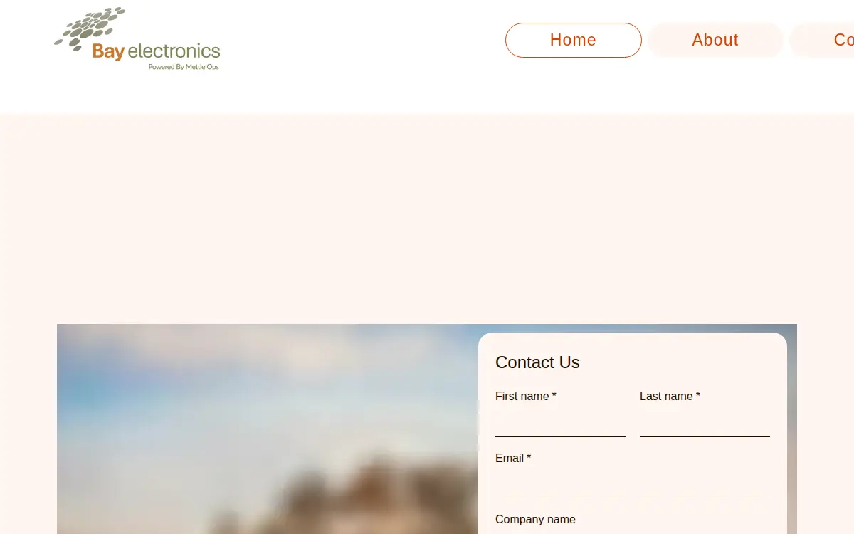 Homepage of Bay Electronics INC