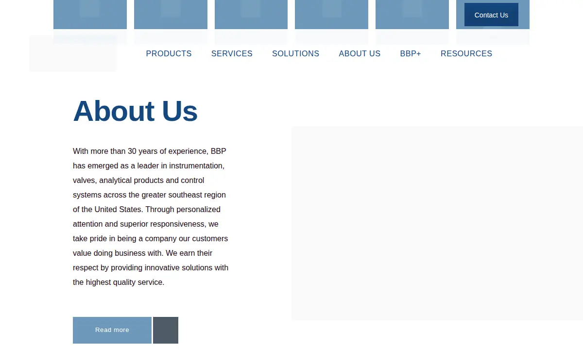 Homepage of Bbp Sales, LLC