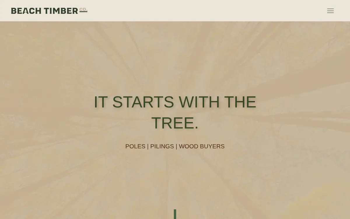 Homepage of Beach Timber Company Blackshear, LLC