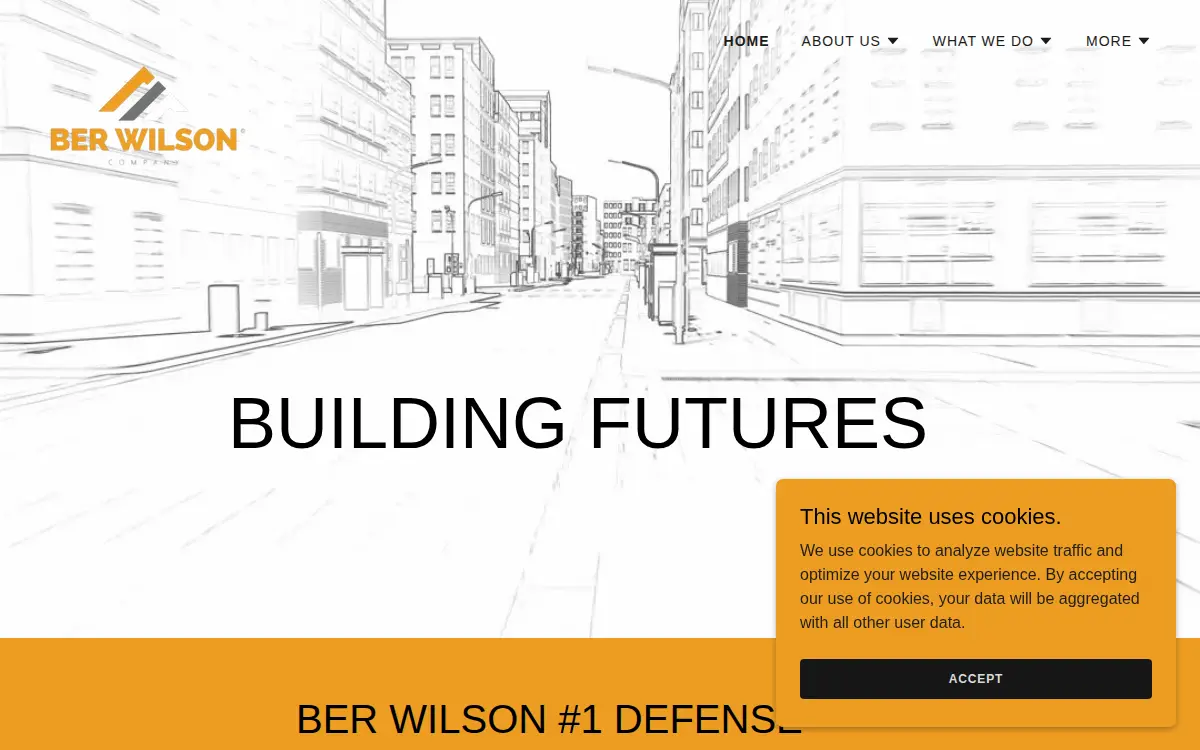 Homepage of Ber Wilson LLC