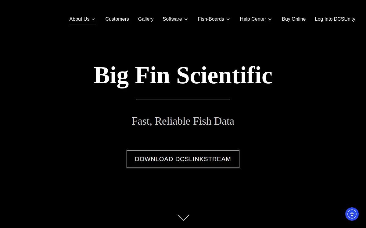 Homepage of Big Fin LLC