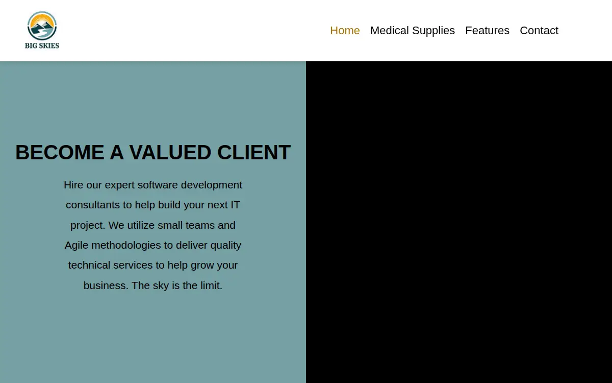 Homepage of Bskies, LLC