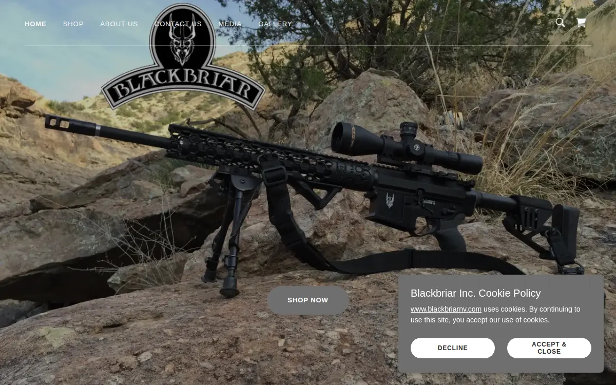 Homepage of Blackbriar INC