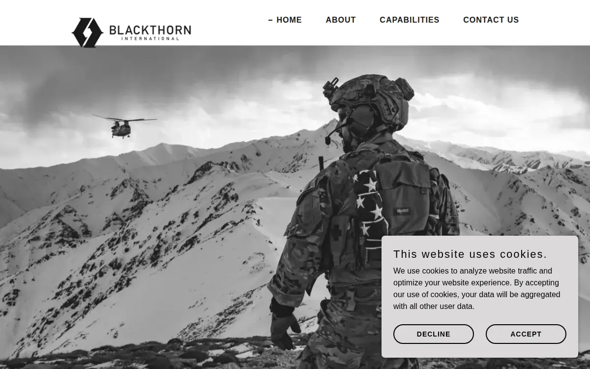 Homepage of Blackthorn International, LLC