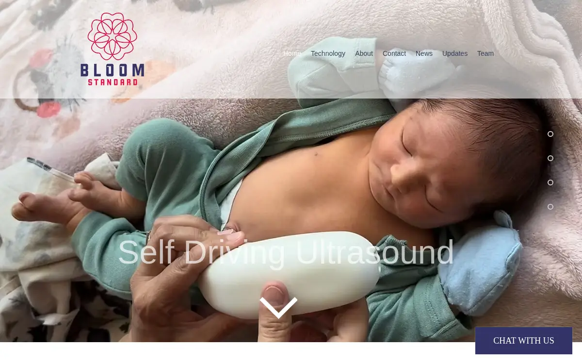 Homepage of Bloom Standard, INC.