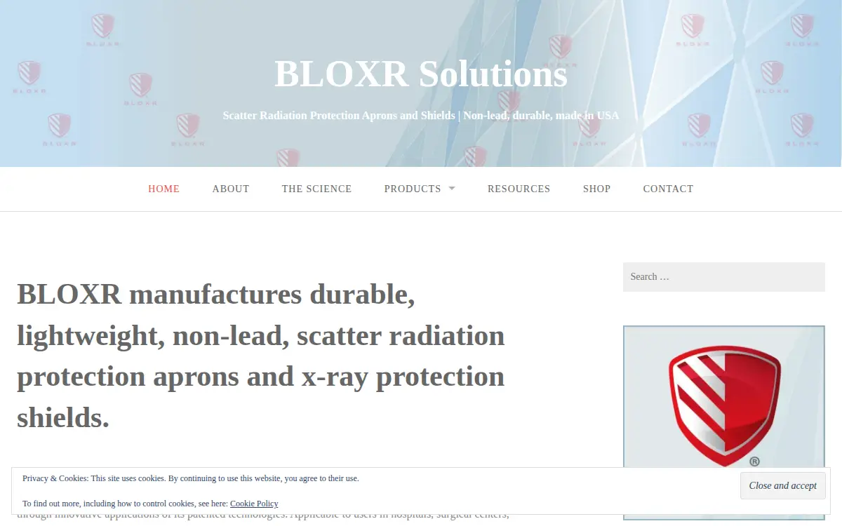 Homepage of Bloxr Solutions LLC