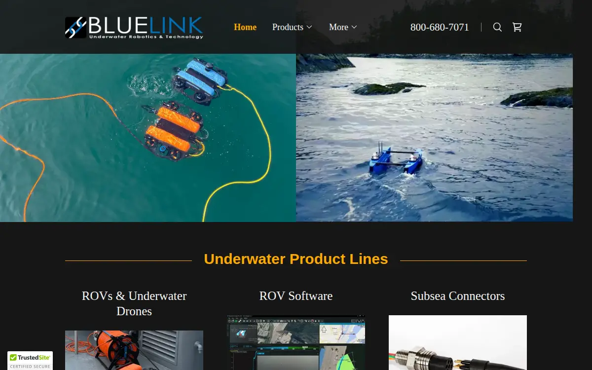 Homepage of Bluelink, LLC