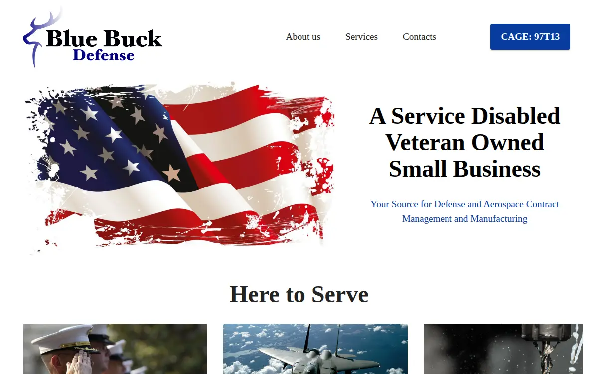 Homepage of Blue Buck LLC