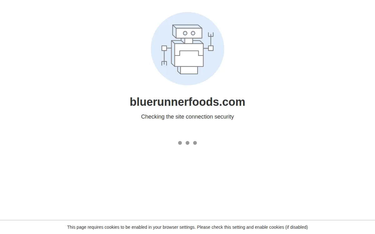 Homepage of Blue Runner Foods INC
