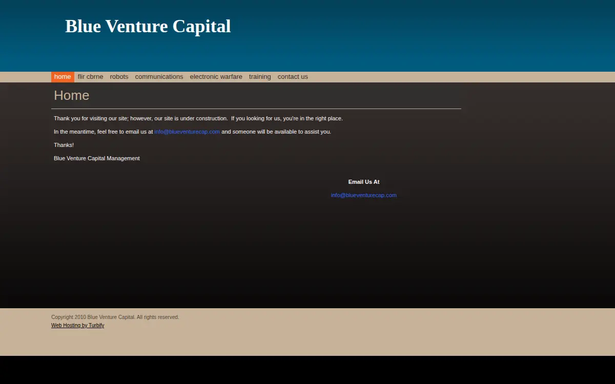 Homepage of Blue Venture Capital, LLC.