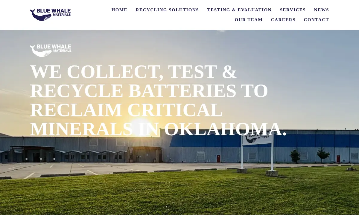 Homepage of Blue Whale Materials LLC