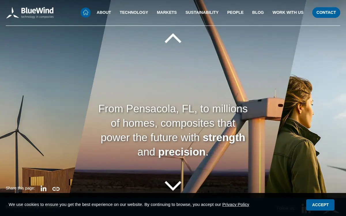 Homepage of Blue Wind Technology LLC