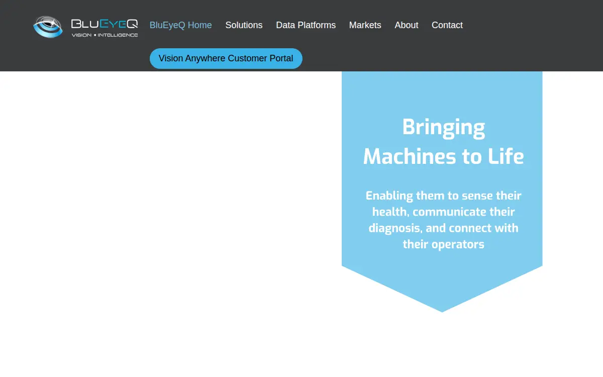 Homepage of Blueyeq LLC